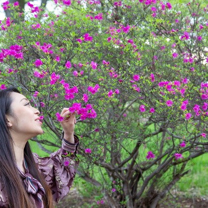 理 S PHOTOが撮影した家族写真の出張撮影の写真