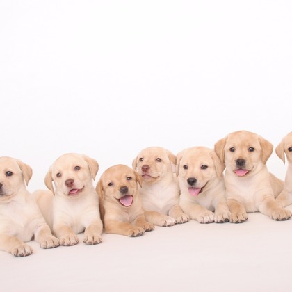 Hiroが撮影したスタジオ撮影の写真