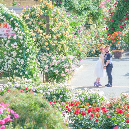 Studio IKKENが撮影したウェディングや家族、ビジネスの写真