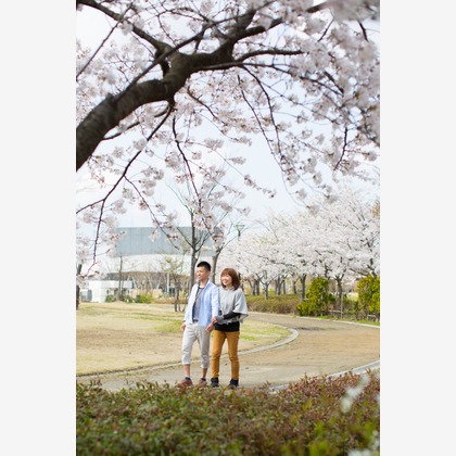 studio HATOYAが撮影した「:albumName」の写真