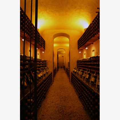 村田わかな広告写真が撮影した店舗/オフィス/サロン撮影/料理撮影の写真