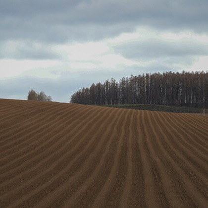 芳賀 翔大が撮影したイベント/スナップ撮影の写真