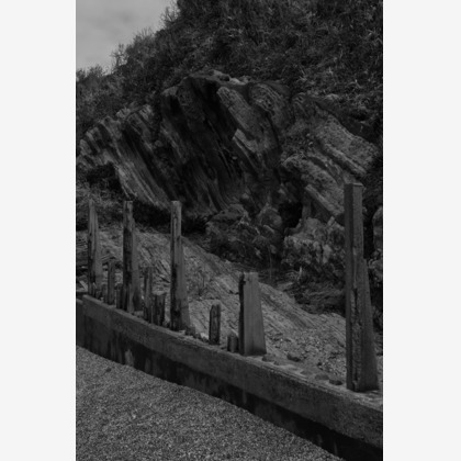 古口悠が撮影した「:albumName」の写真