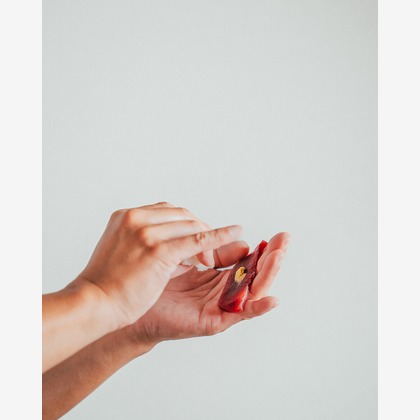 河野季己が撮影した料理撮影の写真