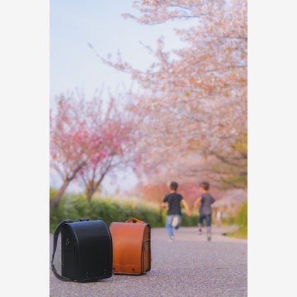 秋山諒輔が撮影したウェディングや家族、ビジネスの写真