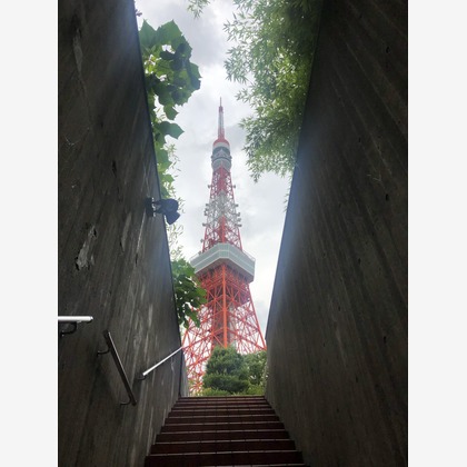 Takeuchi Shunsukeが撮影したその他の写真