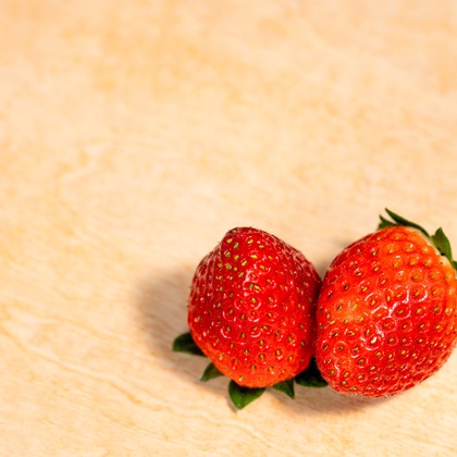 中谷新が撮影した料理撮影/商品/物撮りの写真