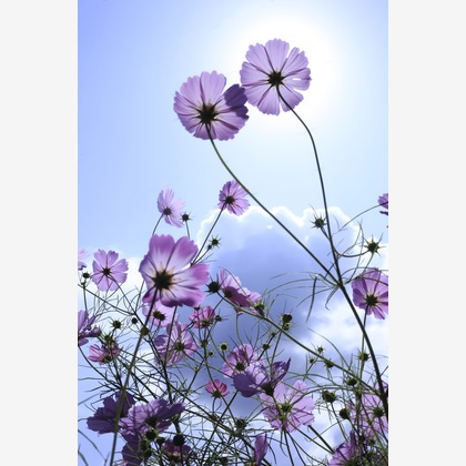 写真屋gonree　阿波根里恵が撮影した旅行先の記念撮影の写真