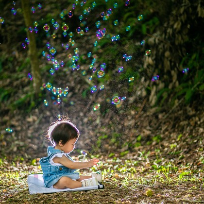 酒井大輔が出張撮影した家族写真, 植物, 七五三が写った家族写真の出張撮影/七五三フォトの写真