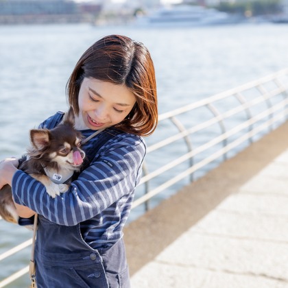 内田　雄一が撮影した「DOGイベントでの撮影」の写真