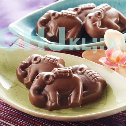 西原毅が撮影した「:albumName」の写真