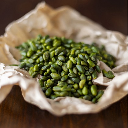 株式会社SANYO-CYP studioUPが撮影した「:albumName」の写真