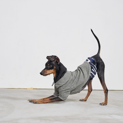 クリエイティブツリーが撮影した「:albumName」の写真