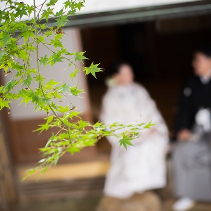 Photo of :albumName taken by Yuki Takebe