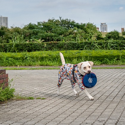 吉田佳央が撮影した「:albumName」の写真