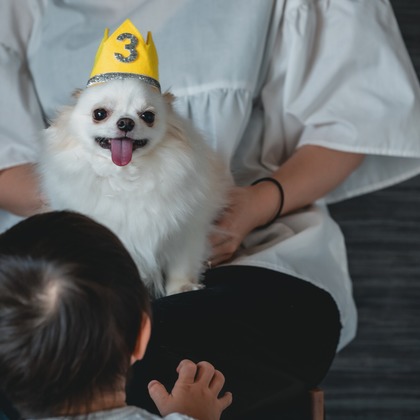 Tajimaが撮影した「ペット」の写真