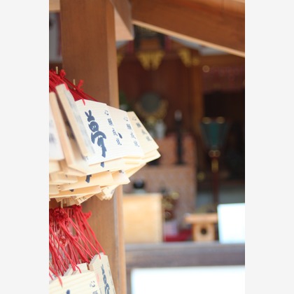 ひときわphotoが撮影した「:albumName」の写真