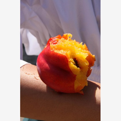 ヨシダミクが撮影したウェディングや家族、ビジネスの写真