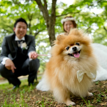 Wedding, Bridal Photos taken by ecoo