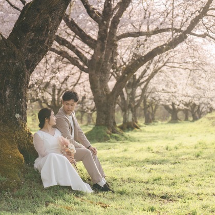 Photo of pre-spring photo taken by スタジオアルパルカ