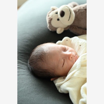 寫樂斎が撮影した「:albumName」の写真