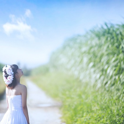 filter.jが撮影した「ロケーション写真（沖縄）」の写真