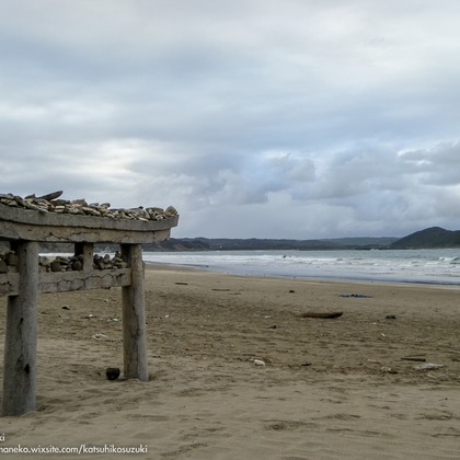 Katsuhiko Suzukiが撮影した「Portfolio」の写真
