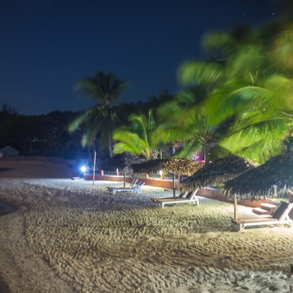 Emadissonが撮影した「:albumName」の写真