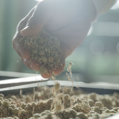 小田映像制作事務所が撮影した「:albumName」の写真