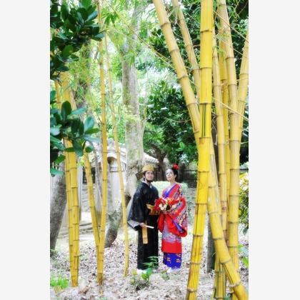 Avenir（山宮 敏明）が撮影した「:albumName」の写真