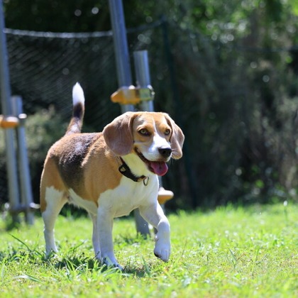 CREAMYが撮影した「:albumName」の写真