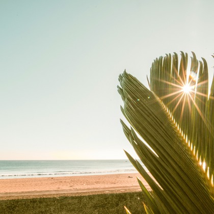 Aoshima Photographyが撮影したウェディングや家族、ビジネスの写真