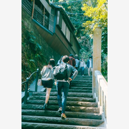 スタジオグラフが撮影した「ギャラリー」の写真