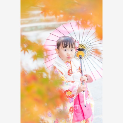 ベッティフォトが撮影した「:albumName」の写真