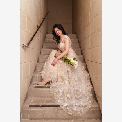 大坪幹武が撮影したウェディングや家族、ビジネスの写真