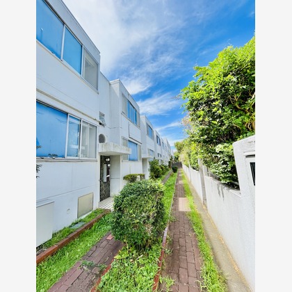 Takeuchi Shunsukeが撮影したその他の写真