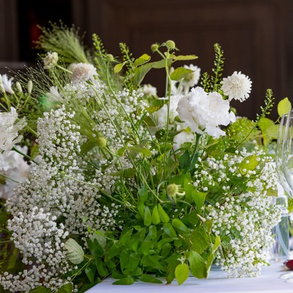 スタジオファンタスが撮影した「:albumName」の写真