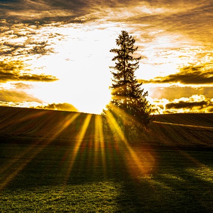 高木勇斗が撮影したその他の写真