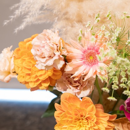 森岡　史仁が撮影したその他の写真