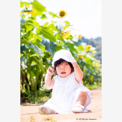 かわもとえつこが撮影した「:albumName」の写真