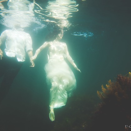 U-CONCENT (香川裕貴)が撮影したウェディングや家族、ビジネスの写真