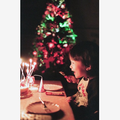 岡本静人が撮影したその他の写真