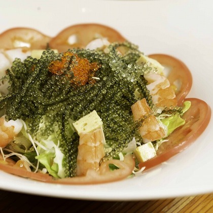 エンリッチ フォトグラフィーが撮影した「:albumName」の写真