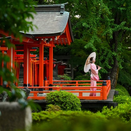 アラタンホヤガが撮影した「:albumName」の写真