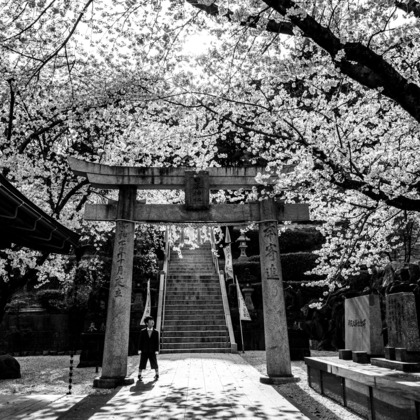 写真屋ごんちゃんが撮影した「:albumName」の写真