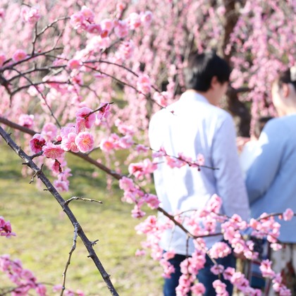 竹内雅俊が撮影した家族写真の出張撮影の写真