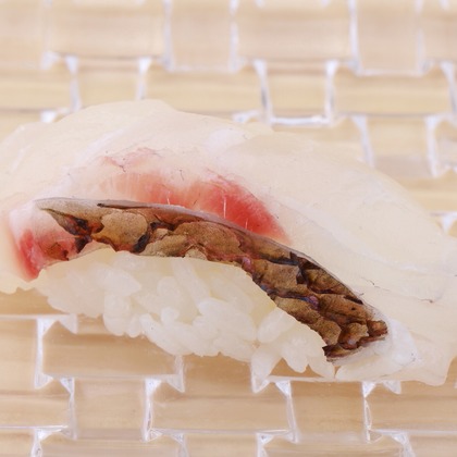 森安　照が撮影した「:albumName」の写真