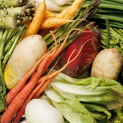 Photo RYUtopiaが撮影した料理撮影の写真