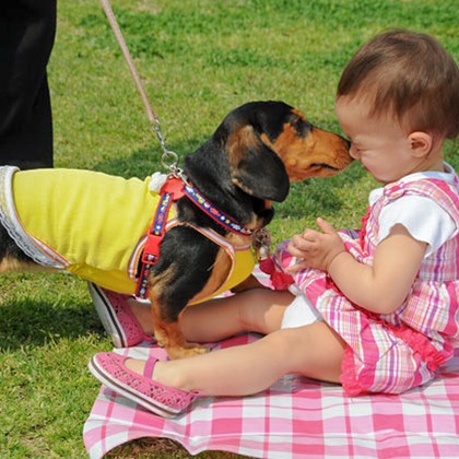 （有）カラーフィールドが撮影した「:albumName」の写真