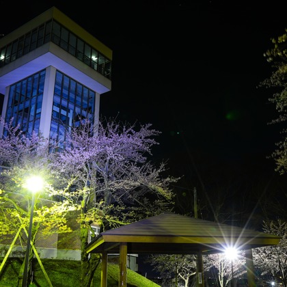 TATEZOUが撮影したイベント/スナップ撮影の写真